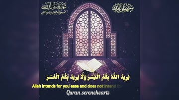الشيخ هاني الرفاعي.  سورة البقرة  من الآيه ١٨٥ -١٨٦