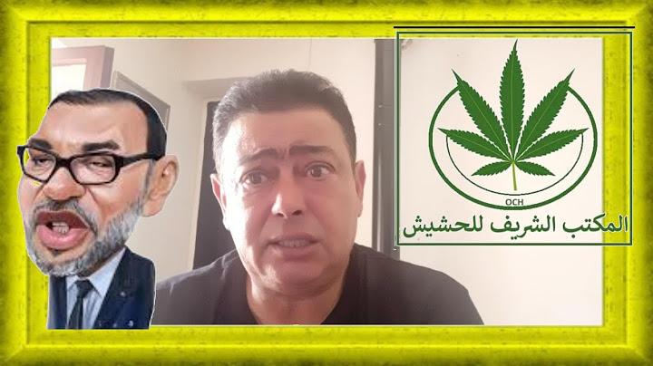 فضيحة محمد السادس وإخوته أغنى تجار المخدرات