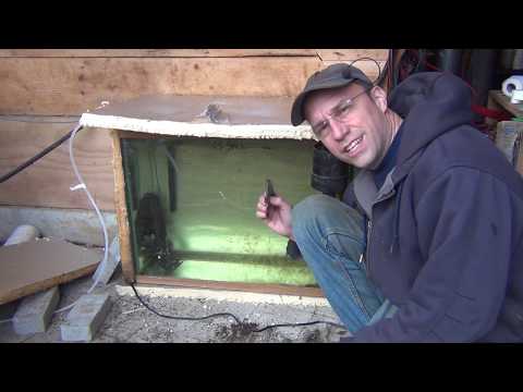 Algae Farm?