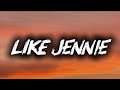 Jennie LトーKE JENNトーE笨ィ Fan Made Lyric Video Jennie LトーKE JENNトーE笨ィ Fan Made Lyric Video