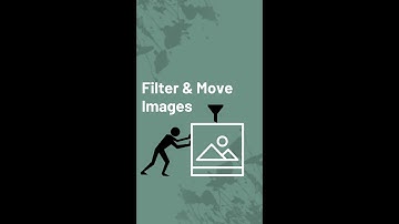 How to Filter & Move Images in Microsoft Excel