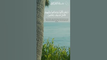 الرَ تِلْكَ آيَاتُ الْكِتَابِ وَقُرْآنٍ مُّبِينٍ | من سورة الحجر | اسلام صبحي