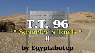Egypt 661 - Sennefers Tomb Tt 96 Ii - By Egyptahotep