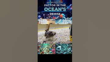 Decomposition of Plastic Into Micro- and Nanoparticles