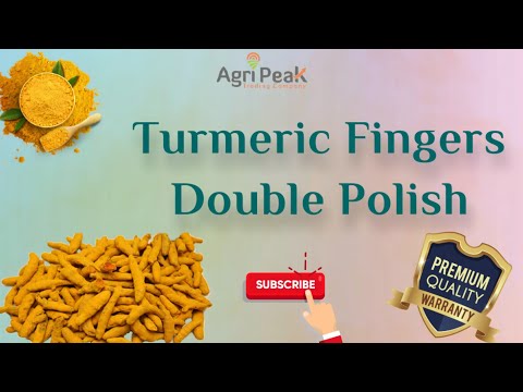 Turmeric fingers Double Polish | Turmeric fingers Manufacturer in India | Salem Turmeric