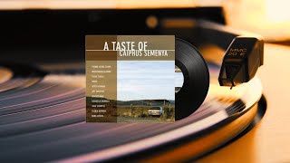 Sibongile Khumalo - There's Music in the Air