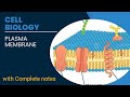 👉Plasma membrane⚡🔥💥🎯