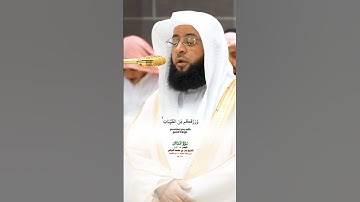 الله الذي جعل لكم الأرض قرارا_سورة غافر_صلاة العشاء 26 ذوالقعدة 1446هـ_الشيخ بدر التركي_#quran