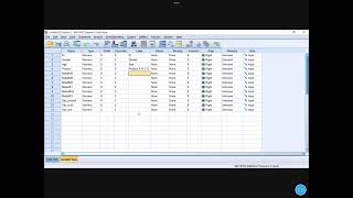 SPSS data entry; speaking Khmer screenshot 4