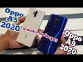 HP OPPO A92020 vs OPPO A52020 Pilih Mana?