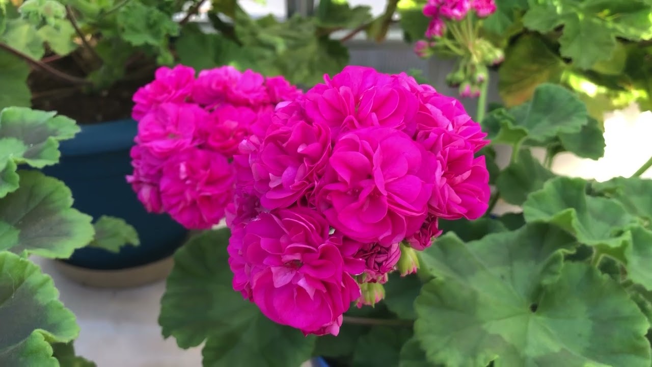 Июльский обзор 2025.