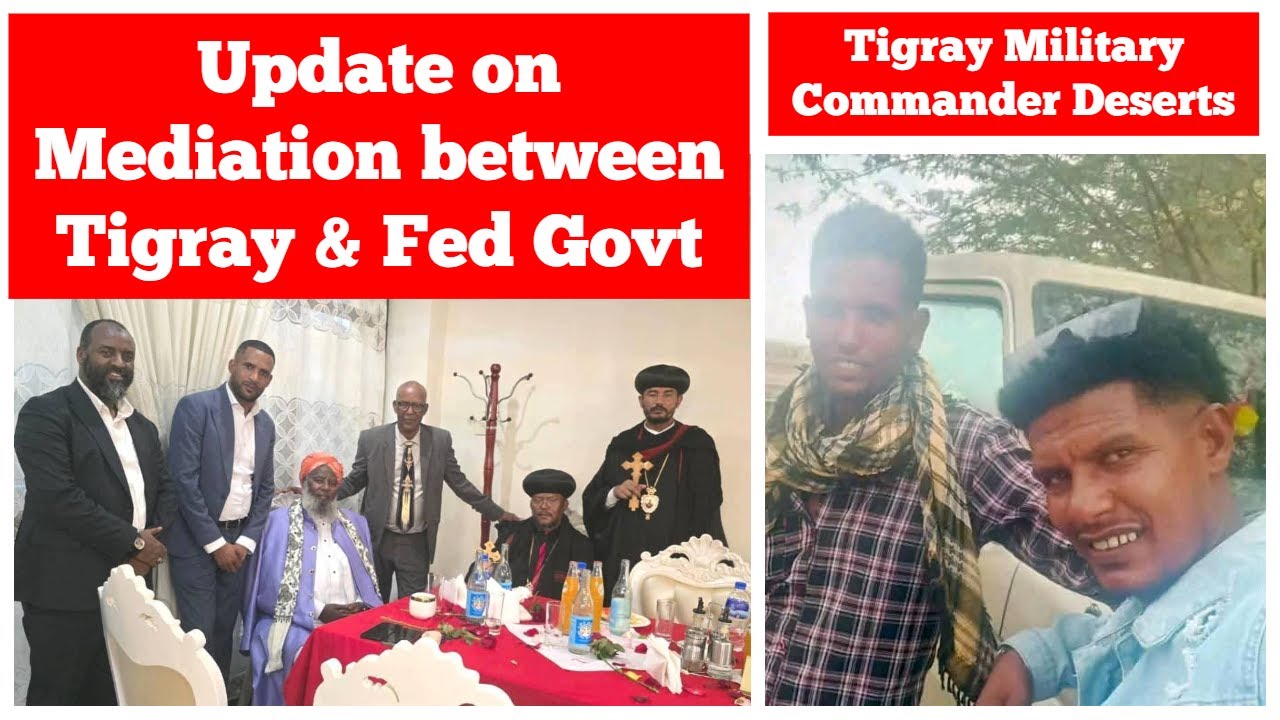 Update on Mediation between Tigray & Federal Govt | Tigray Military Commander Deserts