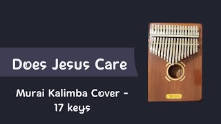 Does Jesus Care ( Kalimba Cover)
