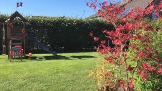 Iphone 6S Plus Zeitraffer 60 Minuten Aufnahme In 1080P Mit 30 Fps Und Ergebnis 71 Mb Und 30 Sek