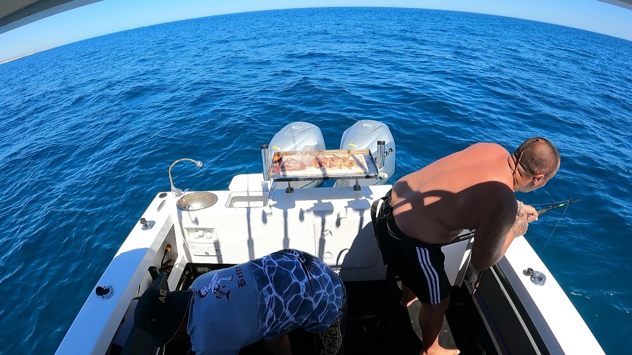 Gear Busting Black Spotted Rock Cod YouTube gear-busting-black-spotted-rock-cod-youtube