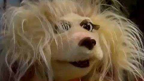 Destiny to the rescue - Mongrels - BBC