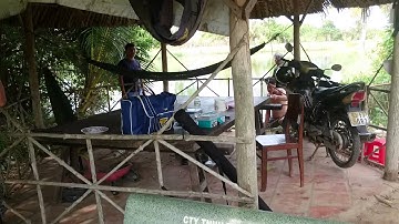 Câu cá Cần Giuộc, Long An