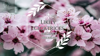 Like y Cicatrices - Melendi (Letra/Lyrics HD) 2021