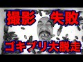 佐々木孫悟空チャンネルの裏側②ゴキブリ300頭の撮影中に大量のゴキブリが大脱走！