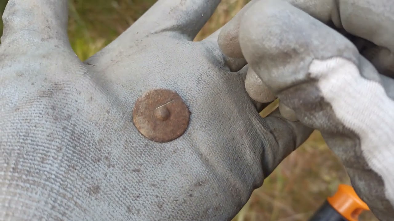 Procházka s detektorem 403.díl