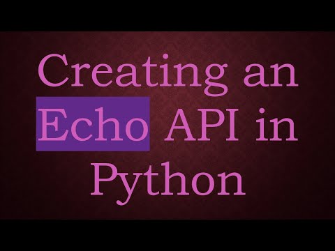 Creating an Echo API in Python