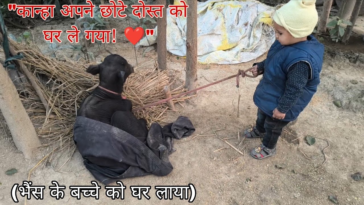 KANHA CHALA|| DOST KO GHAR BANDHNE!❣️ 🏡