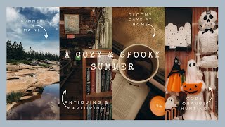 cozy & spooky summer | halloween shopping, nature, and coziness in between🎃🌊🌲🫖