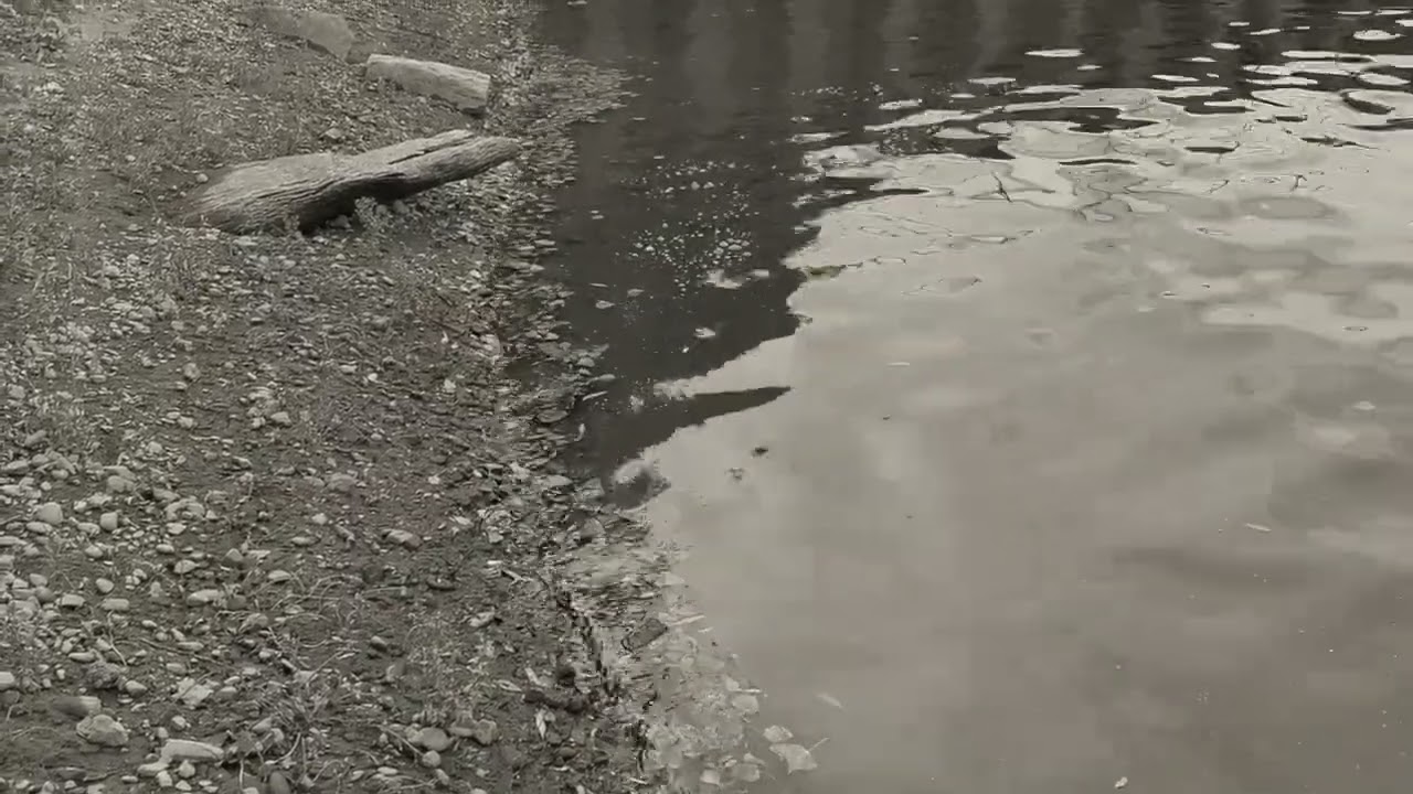 Recording Nr.18, 01.05.2025, Cologne Mülheim