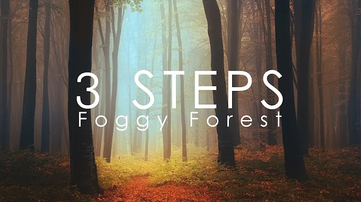 The 3 Secret Steps of Foggy Forest Photography - DayDayNews