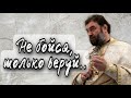 Верой прикоснуться ко Христу. Протоиерей  Андрей Ткачёв.