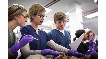 What should I do if a course that I would like to register for is full?