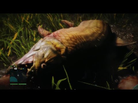 Far Cry 4 Easy Demon Fish Hunting Youtube