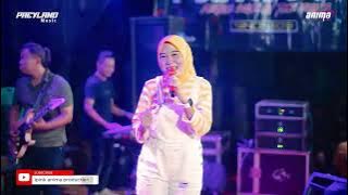 PAEYLAND MUSIC - NEMEN NDX RIZA PALUPI - WEDDING DEDI & DINA - TENGGULI