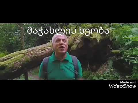 ბარ-10 ფან-კლუბი