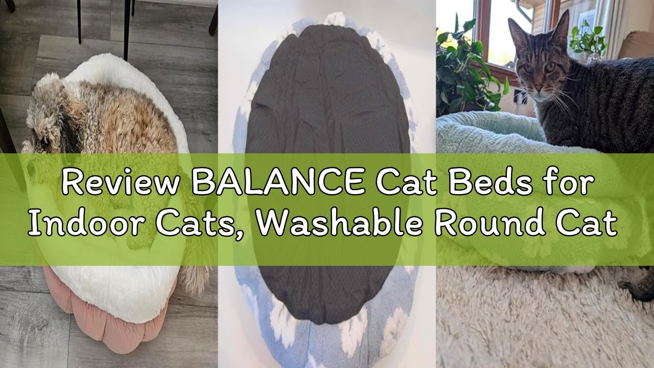Review BALANCE Cat Beds for Indoor Cats, Washable Round Cat Bed, Cute 3D Flower Kitten Bed with Anti