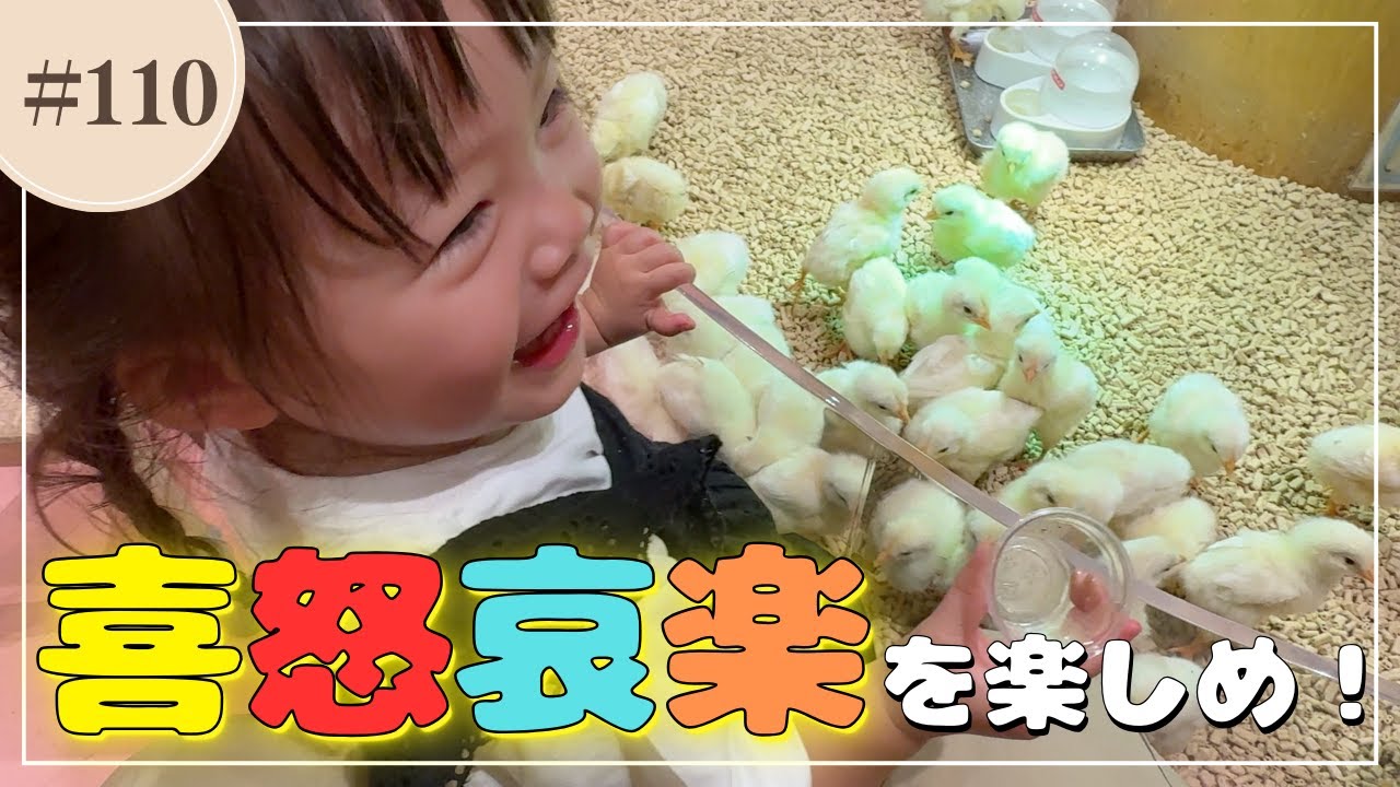 【福岡Vlog】感情の起伏が激しい娘と過ごす１日