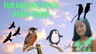 Interesting Facts About Birds | Educational Video for Kids