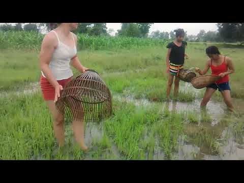 Amazing khmer fishing at salakroa district pailin Province(part19)