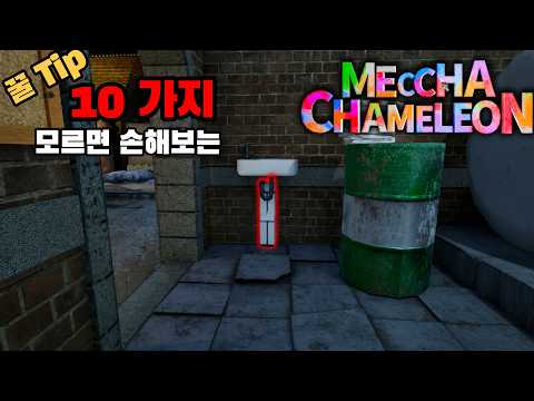 [멧차 카멜레온] 벽에 파묻히는 치트급 자세 공개! 술래들 긴장해야 합니다ㅋㅋ