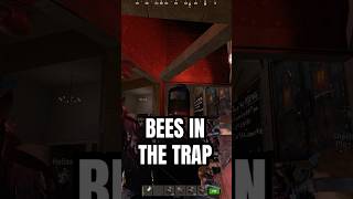 bees in the trap in rust