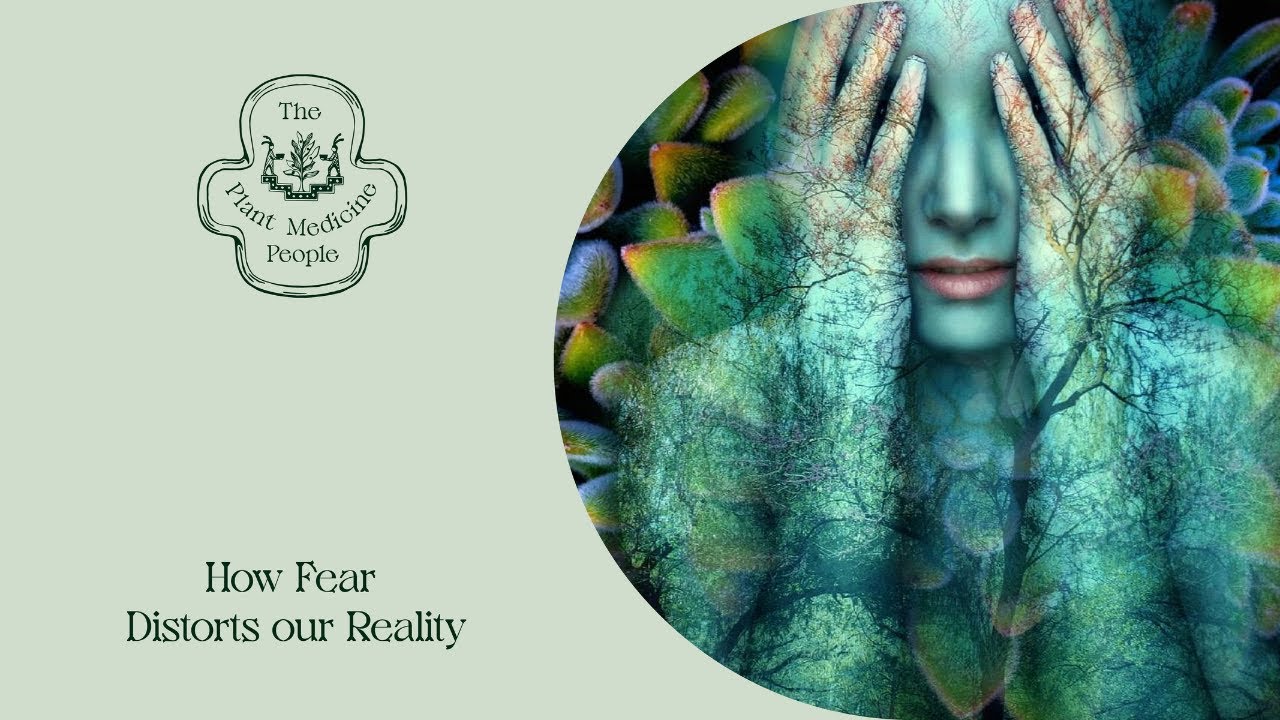 How Fear Distorts Our Reality - YouTube