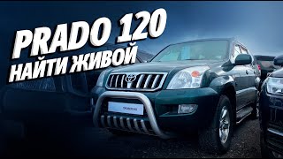 :  PRADO 120.   , ,   VIN