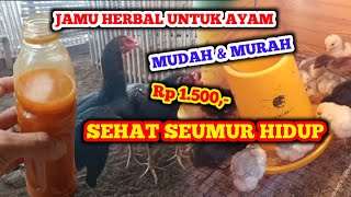 HARUSNYA BIKIN DARI DULU! JAMU HERBAL AYAM SEHAT TERUS MURAH screenshot 1