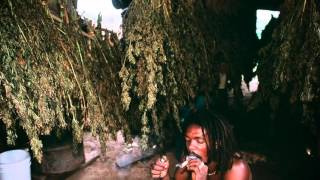 Adesse Versions - Marijuana (full track)