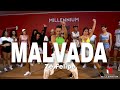 MALVADA - Zé Felipe (Coreografia) MILLENNIUM 🇧🇷