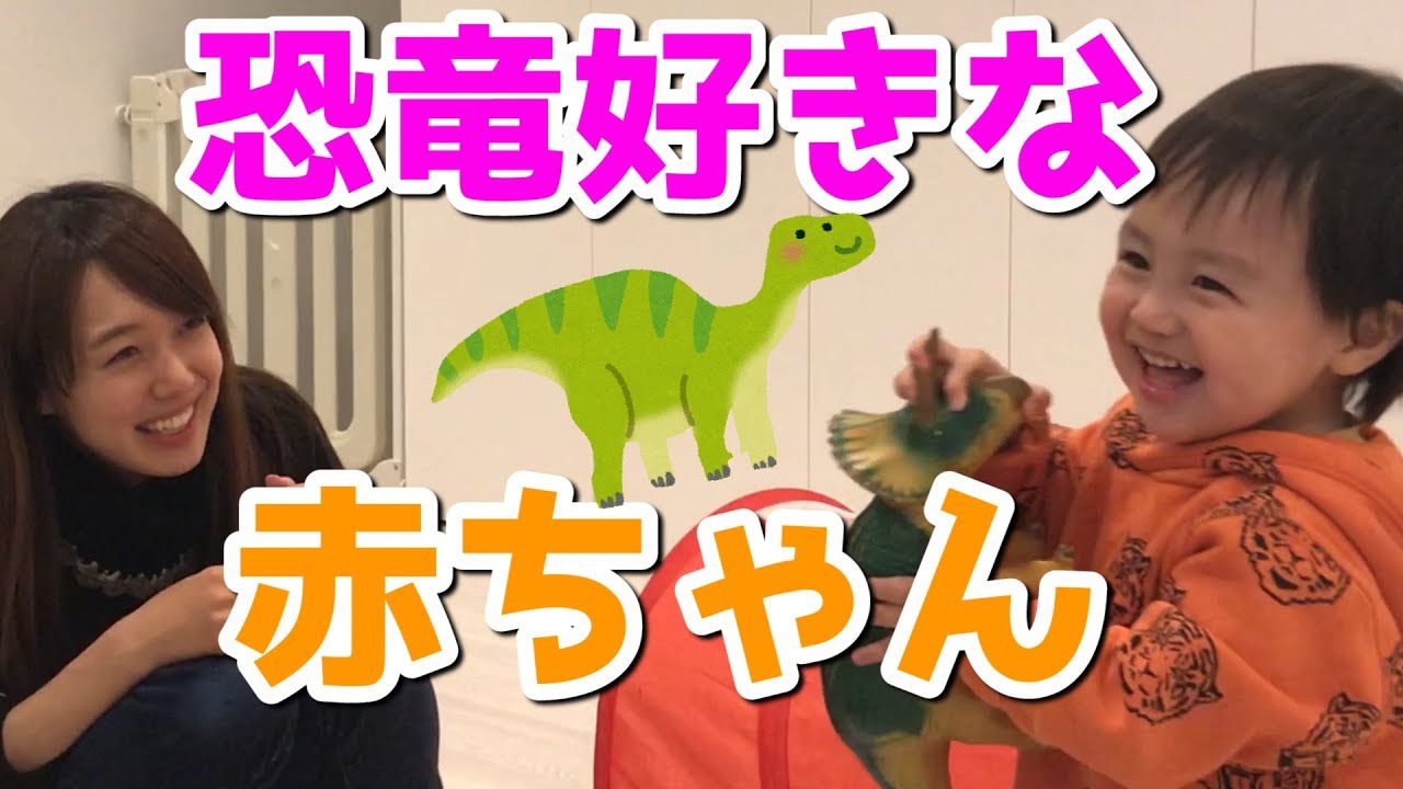 アレク のんちゃん 恐竜好きな一歳のおちびーぬ Youtube アレク のんちゃん 恐竜好きな一歳のおちびーぬ Youtube