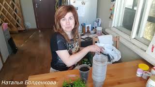 Хозяйство,рассада,посылка с мясом....