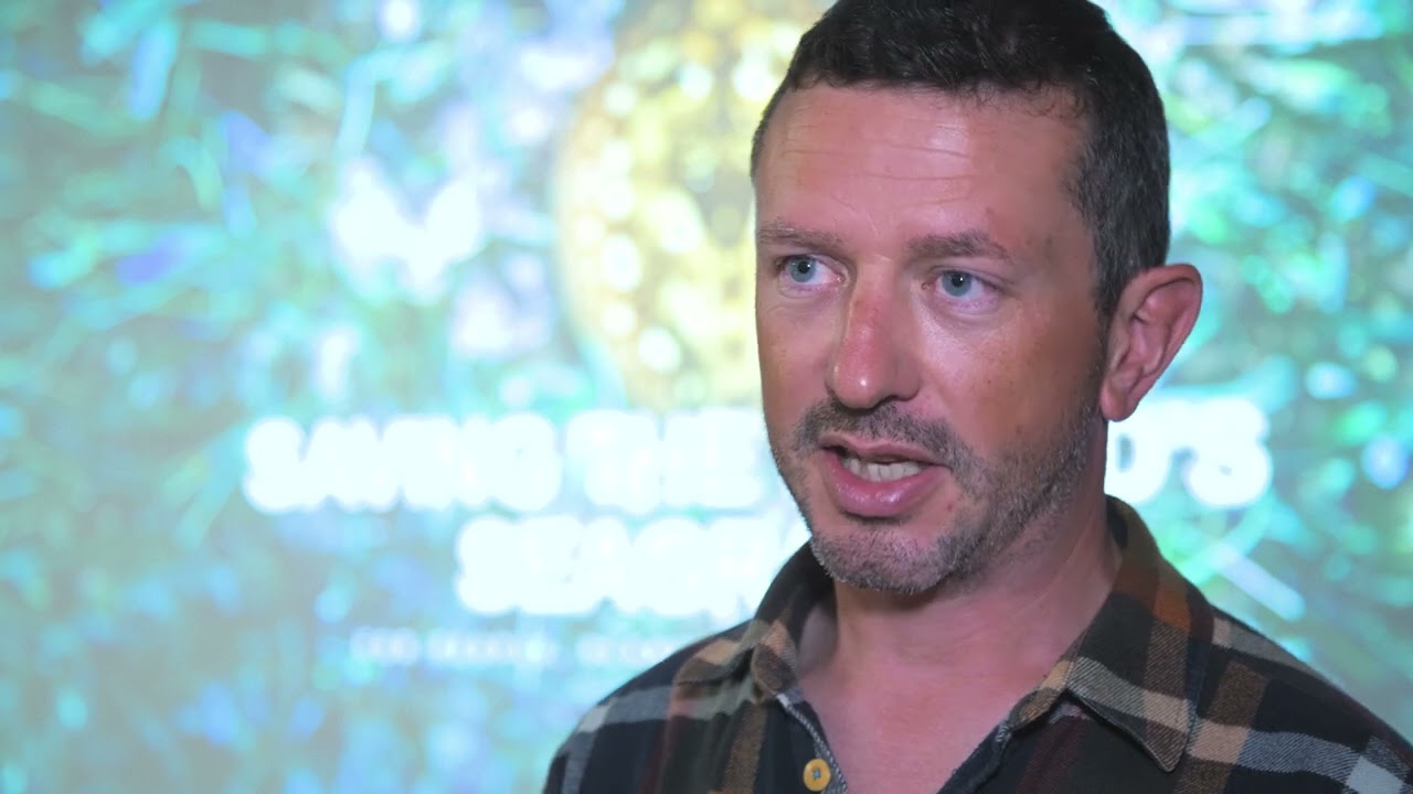 The Underwater Meadows That Could Help Save the Planet