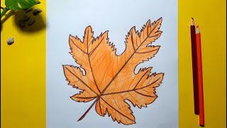 How to Draw a Maple Leaf – Maple Leaf Drawing Step by Step - Easy Crafts  For Kids