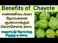       chow chow benefits in tamil aswam tamil channel